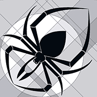 spider graphic